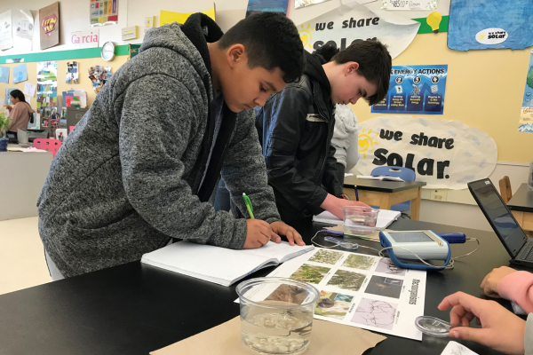 STCMS Students Investigating 